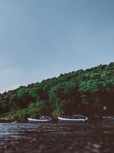 Превью обои алсуотер, пенрит, лодки, деревья, берег