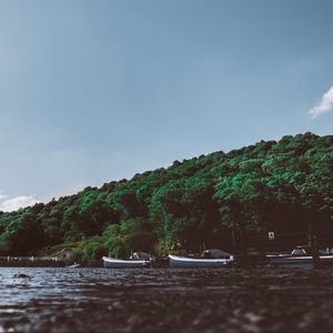 Превью обои алсуотер, пенрит, лодки, деревья, берег