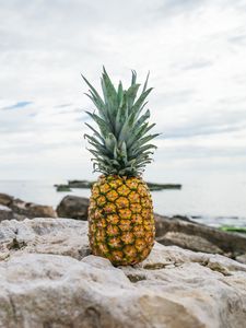 Превью обои ананас, камни, пляж