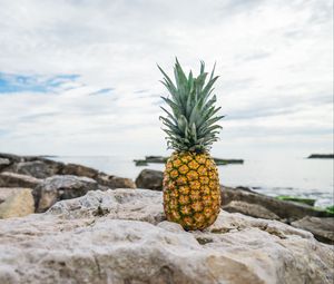 Превью обои ананас, камни, пляж