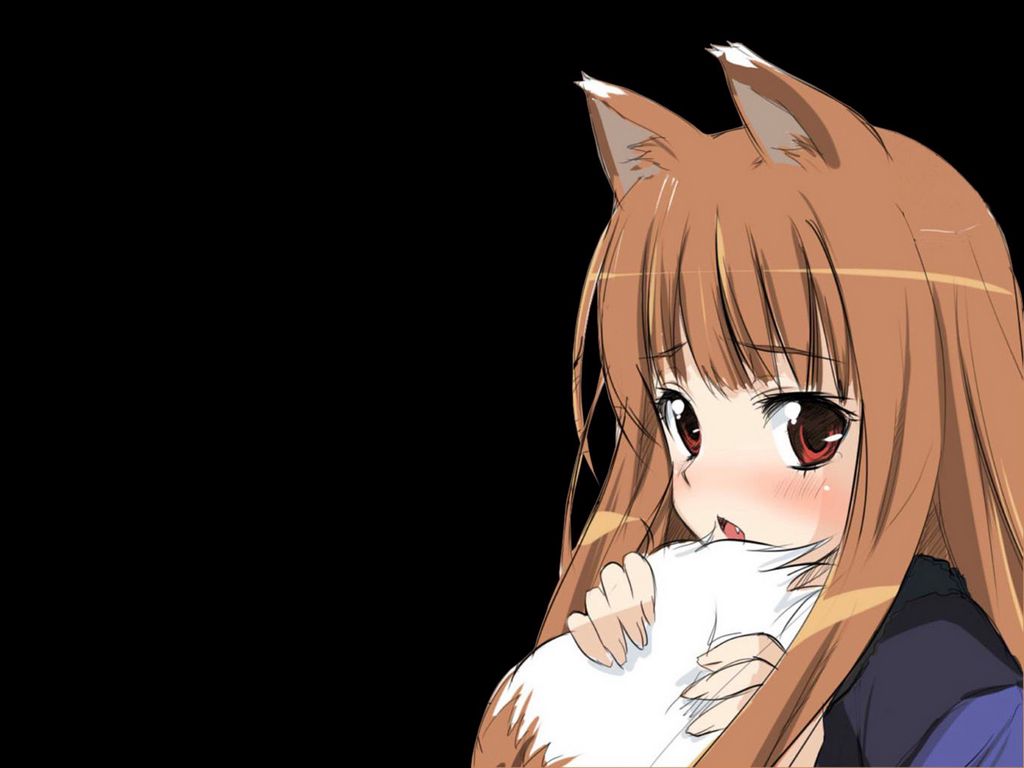 Скачать 1024x768 аниме, spice wolf, девушка, уши, хвост обои, картинки  стандарт 4:3