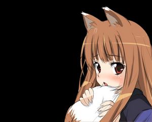 Превью обои аниме, spice wolf, девушка, уши, хвост