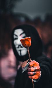 Превью обои аноним, роза, цветок, маска, капюшон