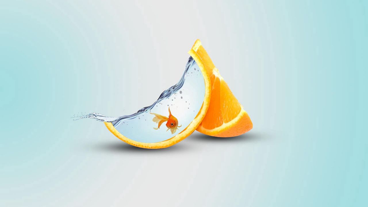 Обои апельсин, долька, рыба, вода