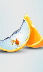 Превью обои апельсин, долька, рыба, вода
