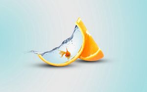 Превью обои апельсин, долька, рыба, вода