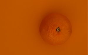 Превью обои апельсин, фрукт, оранжевый, фон