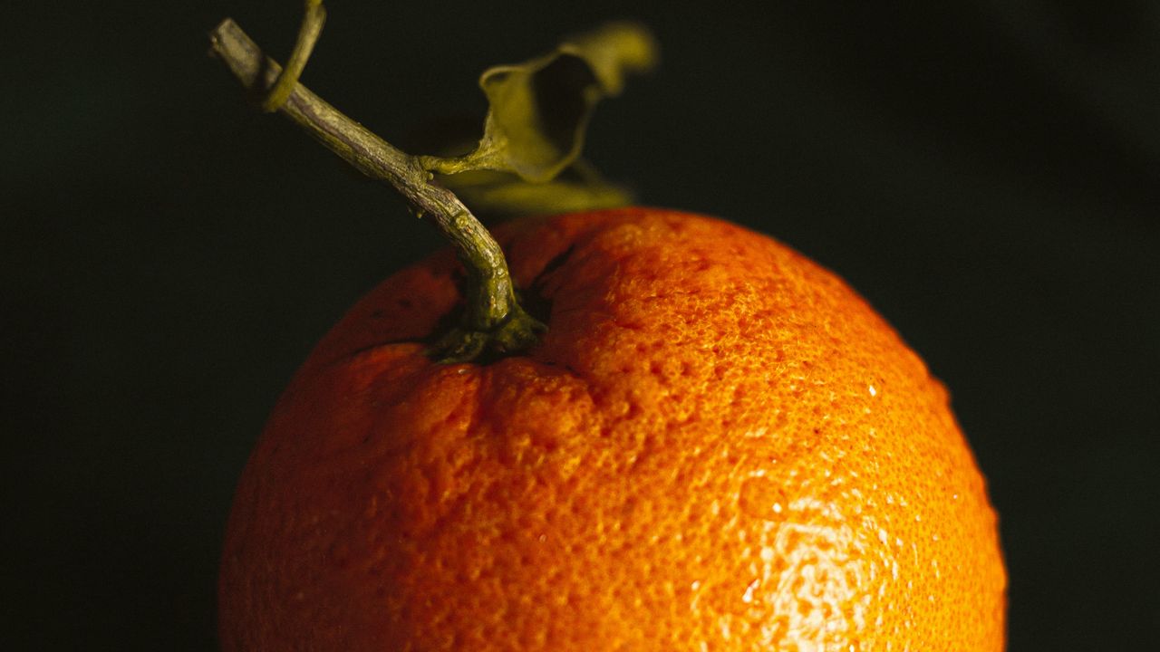 Обои апельсин, фрукт, цитрус, оранжевый, мокрый