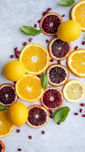 Превью обои апельсин, лимон, дольки, гранат, цитрус, фрукты