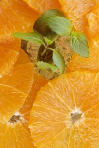 Превью обои апельсин, нарезка, фрукт, очищенный