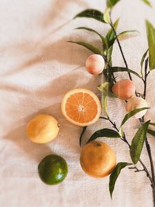Превью обои апельсин, персики, фрукты, листья, свежий