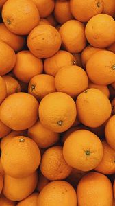 Превью обои апельсины, фрукты, цитрус, тропический
