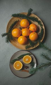 Превью обои апельсины, фрукты, цитрус, ветки, специи