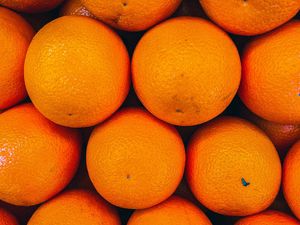 Превью обои апельсины, фрукты, цитрус, оранжевый, свежий
