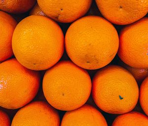 Превью обои апельсины, фрукты, цитрус, оранжевый, свежий