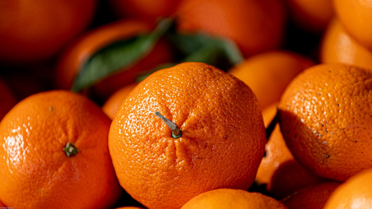Обои апельсины, фрукты, цитрус, спелый