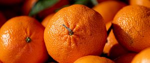 Превью обои апельсины, фрукты, цитрус, спелый