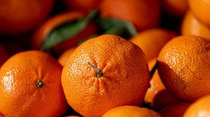 Превью обои апельсины, фрукты, цитрус, спелый