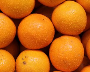 Превью обои апельсины, фрукты, цитрус, капли, оранжевый