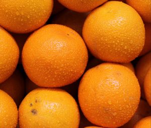 Превью обои апельсины, фрукты, цитрус, капли, оранжевый