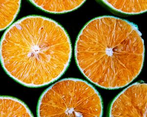 Превью обои апельсины, сорт, фрукт, сочный, срез
