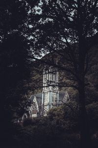 Превью обои архитектура, замок, лес, ветки