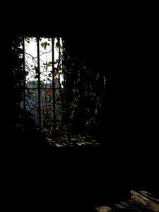 Превью обои арка, листья, ветки, темный