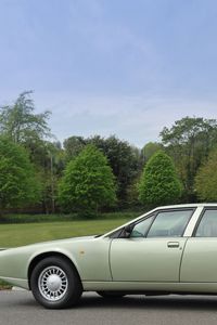 Превью обои астон мартин, 1987, зеленый, вид сбоку, авто, aston martin, lagonda, небо, трава