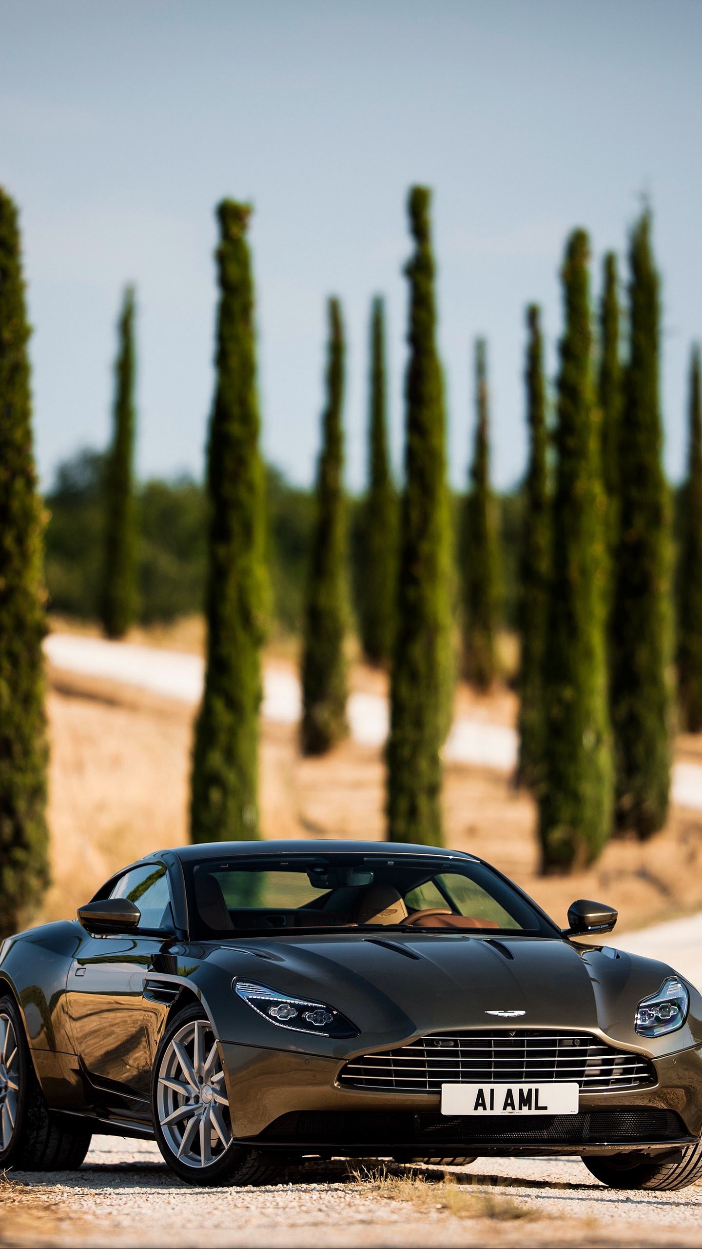 Aston Martin db1