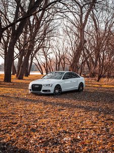 Превью обои audi, автомобиль, белый, деревья