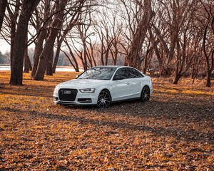 Превью обои audi, автомобиль, белый, деревья