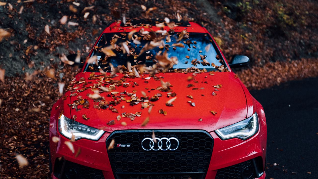 Обои audi, автомобиль, вид спереди, красный, бампер, листва, осень