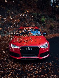 Превью обои audi, автомобиль, вид спереди, красный, бампер, листва, осень