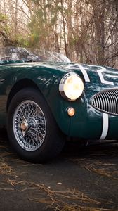 Превью обои austin healey, 100s, зеленый, вид спереди