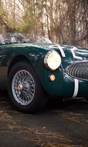 Превью обои austin healey, 100s, зеленый, вид спереди