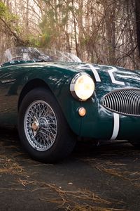 Превью обои austin healey, 100s, зеленый, вид спереди