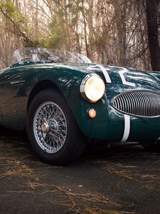 Превью обои austin healey, 100s, зеленый, вид спереди