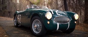 Превью обои austin healey, 100s, зеленый, вид спереди