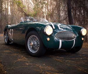 Превью обои austin healey, 100s, зеленый, вид спереди