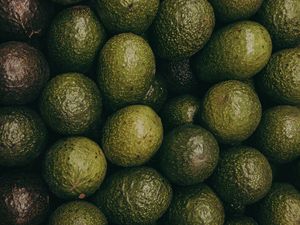 Превью обои авокадо, фрукты, зеленый, текстура