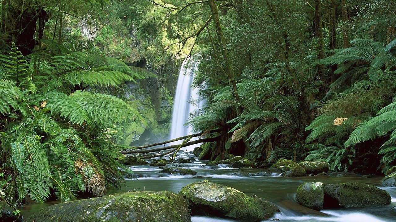 Обои австралия, водопад, камни, зелень, папоротник