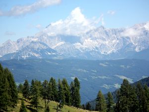 Превью обои австрия, альпы, горы, деревья