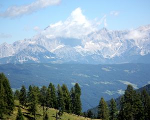 Превью обои австрия, альпы, горы, деревья
