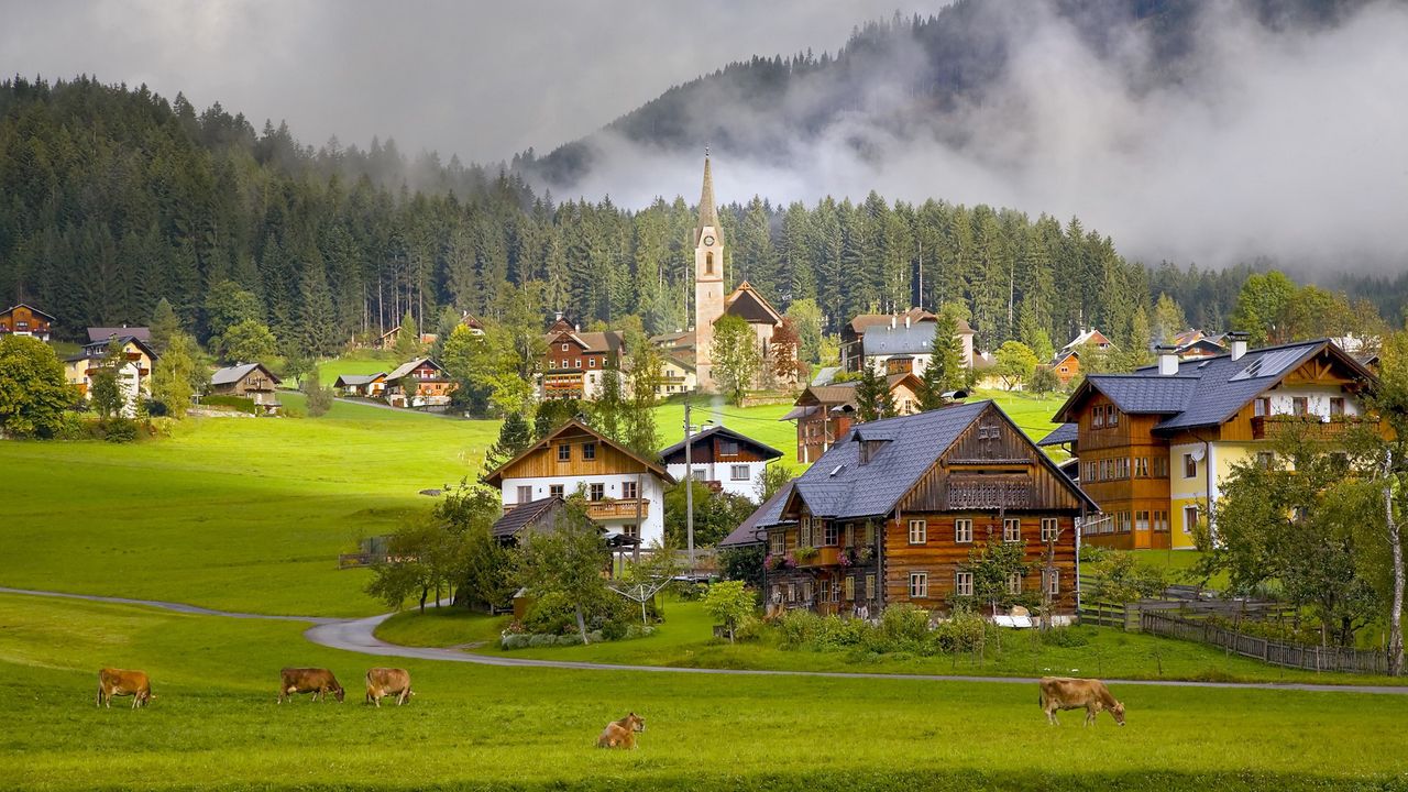 Обои австрия, austria, gosau, гозау, деревня, дома, коровы картинки на рабочий  стол, фото скачать бесплатно