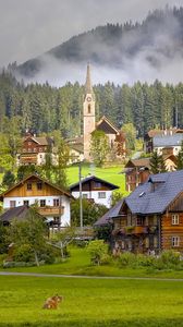 Превью обои австрия, austria, gosau, гозау, деревня, дома, коровы