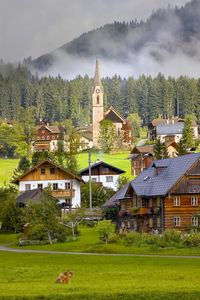 Превью обои австрия, austria, gosau, гозау, деревня, дома, коровы