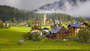 Превью обои австрия, austria, gosau, гозау, деревня, дома, коровы