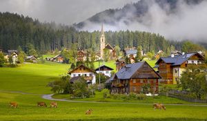 Превью обои австрия, austria, gosau, гозау, деревня, дома, коровы