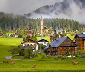 Превью обои австрия, austria, gosau, гозау, деревня, дома, коровы
