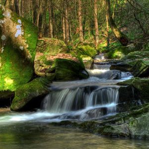 Превью обои австрия, кляйн-пёхларн, водопад, растительность, деревья, поток